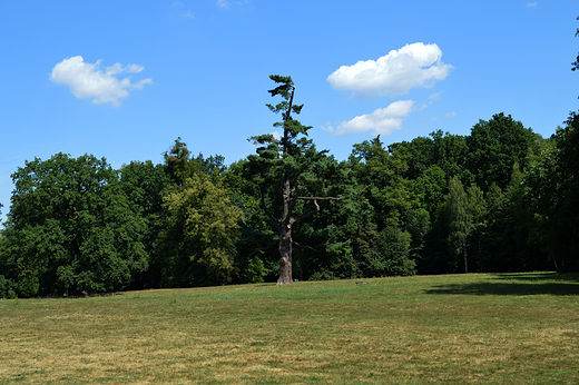 Moszna - Park przypaacowy