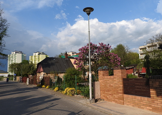 Zacisze