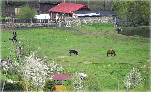 widoki z korony zapory na jeziorze Lubachowskim