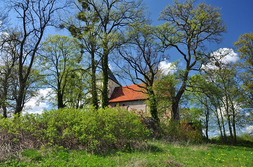 Bezawki - dawny zamek krzyacki