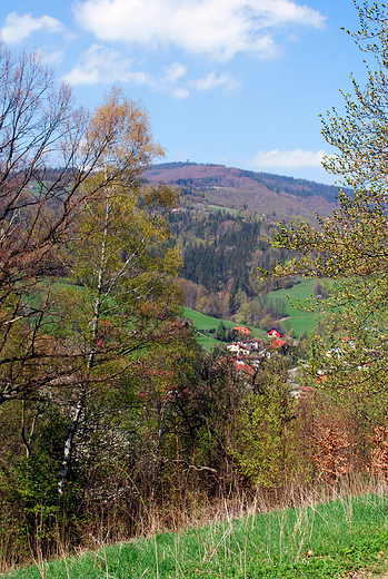 Wiosna w Beskidzie lskim w okolicach Wisy-Jawornika.