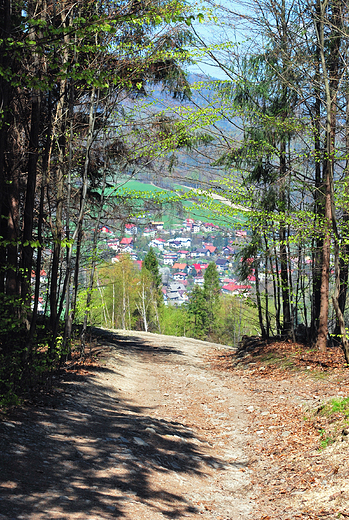 Beskid lski. Na szlaku z Wisy Na Soszw.