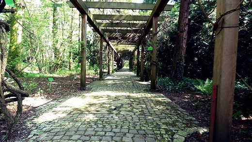tunel