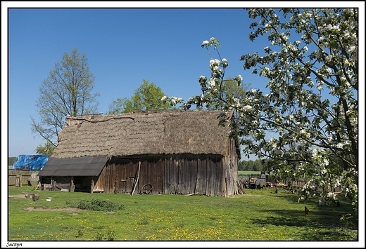 Saczyn - stara i pikna