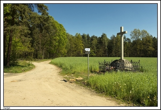 Saczyn - krzy powicony Franciszkowi Stryjasowi