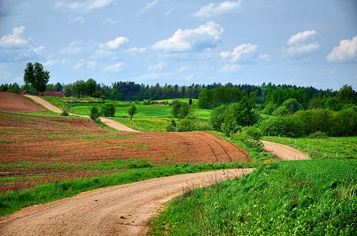 Mazurska droga