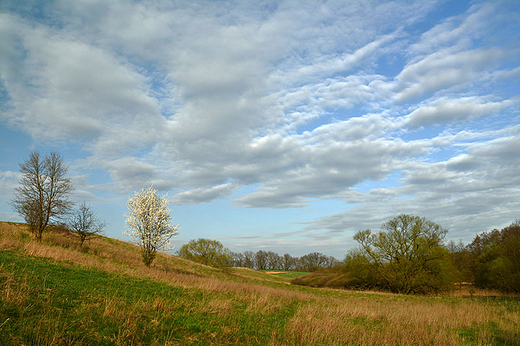 Keckie Bieszczady