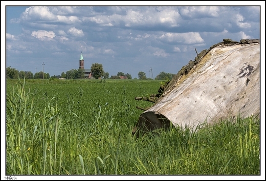 Wocin - widok na koci w miejscowoci Wojkw