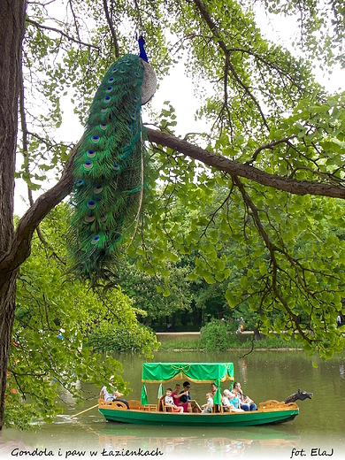 Warszawa. Gondola i paw w azienkach