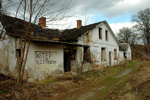 Doy Biskupie - dyrektorwka w Witulinie