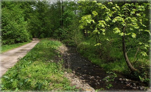 Potok w Sokoowsku