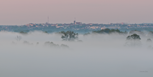 Zaginione miasto - oma