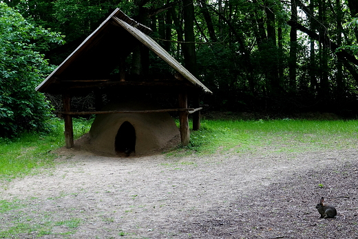 Muzeum Archeologiczne w Biskupinie