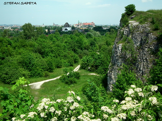 Wawel ze Skaek Twardowskiego