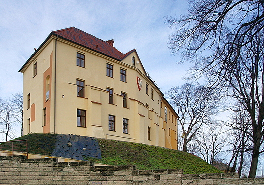 Zamek piastowski w Owicimiu od strony Starwki.