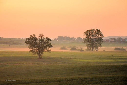 Niedzieny, bardzo wczesny poranek