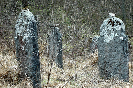 Chciny - ydowska nekropolia