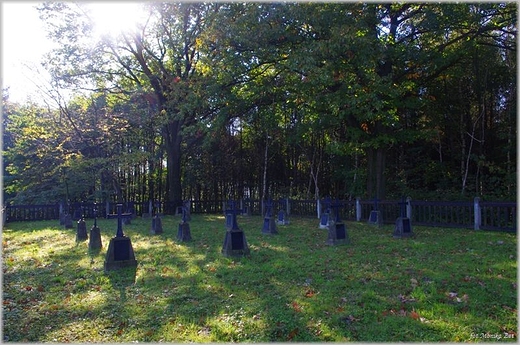 Dbrwka Szczepanowska, cmentarz z okresu I wojny wiatowej