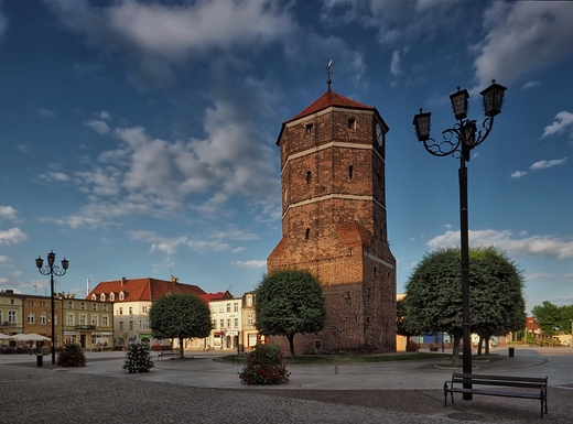 nin - rynek