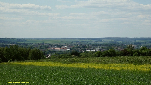 Widok z Ulicy Uaskiej