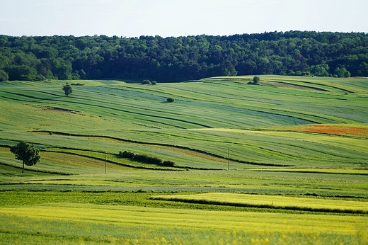 Toskania w polsce