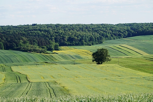 Toskania w polsce