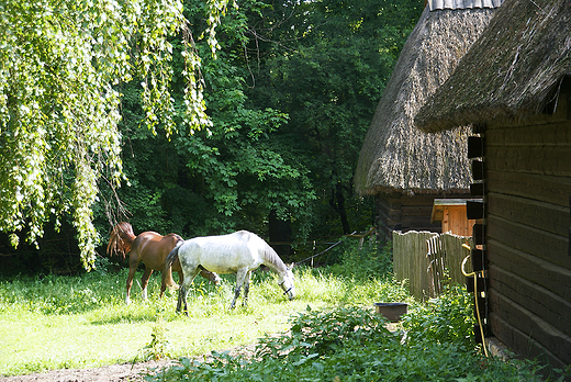 Skansen w Chorzowie.