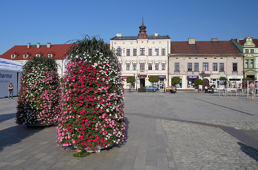 Rynek w Owicimiu na wiosn.