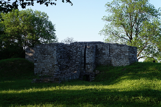 Sawkw - Ruiny zamku biskupiego z XIII w.