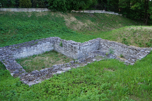 Sawkw - Ruiny zamku biskupiego z XIII w.