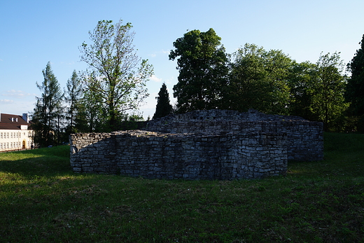 Sawkw - Riuny zamku z XIII w.