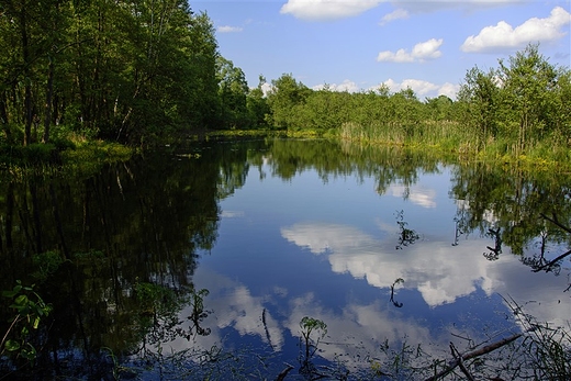 Kampinoski Park Narodowy