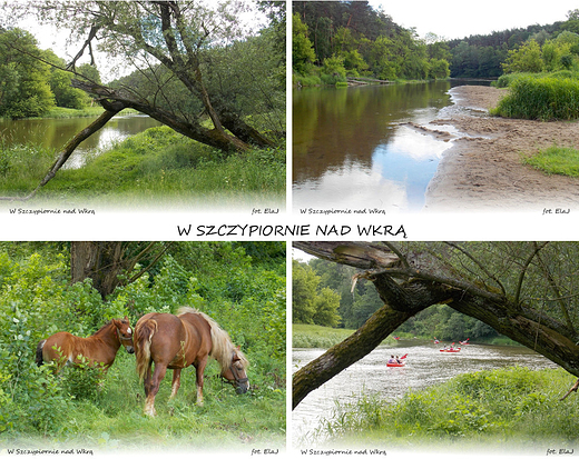 W Szczypiornie nad Wkr