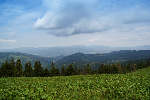 Przez Rysiank do schroniska na hali Boraczej