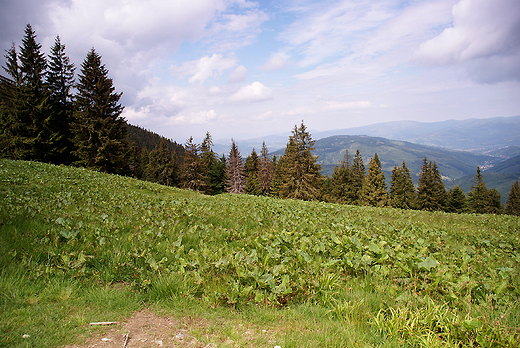 Przez Rysiank do schroniska na hali Boraczej