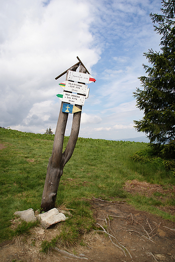 Przez Rysiank do schroniska na hali Boraczej