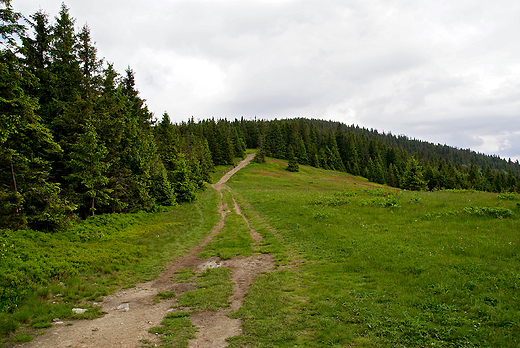 Przez Rysiank do schroniska na hali Boraczej