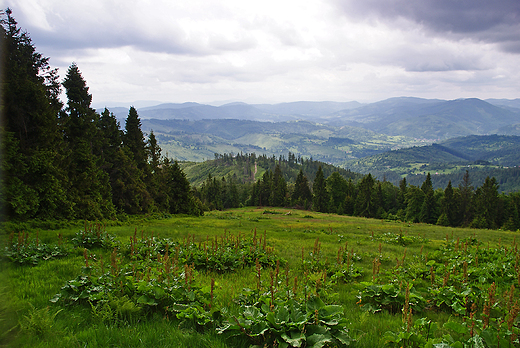 Przez Rysiank do schroniska na hali Boraczej