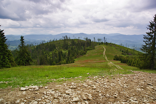 Przez Rysiank do schroniska na hali Boraczej