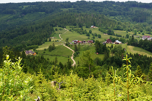 Przez Rysiank do schroniska na hali Boraczej