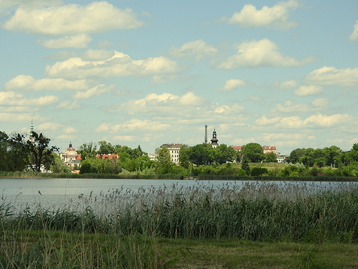 widok na zamojsk starwk