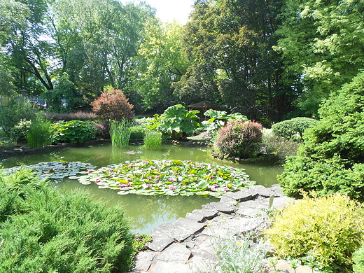 Krakw. Ogrd botaniczny