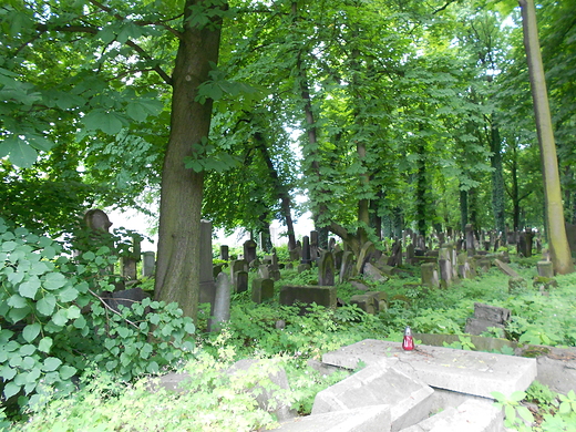 Krakw. Cmentarz ydowski