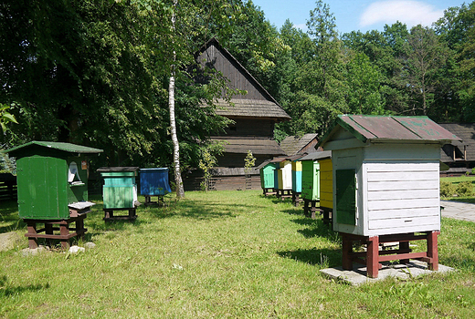 Pszczyna. Skansen: Zagroda wsi pszczyskiej. Pasieka.