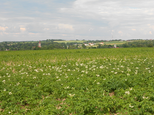 Krajobraz Midzyrzecza Grnego