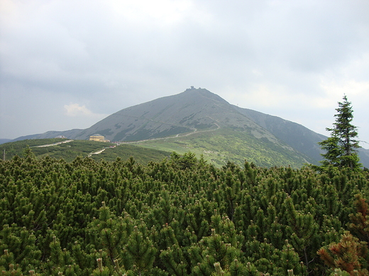 Krlowa Karkonoszy-nieka