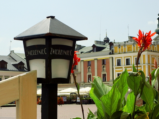 Lokalny patriotyzm - piwo Zwierzyniec krluje w restauracyjnych ogrdkach