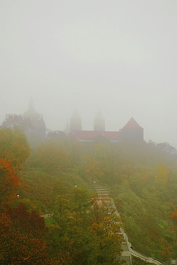Tonący we mgle Płock