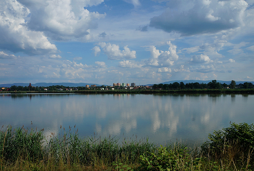 Czechowice-Dziedzice. Panorama miasta znad staww hodowlanych.