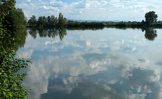 Czechowice-Dziedzice. Stawy hodowlane.